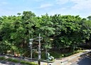 中和區-民德路4房2廳，21.4坪