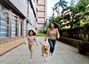 文山區-秀明路二段6房2廳，98.4坪