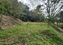卓蘭鎮-大坪林段土地，1622坪