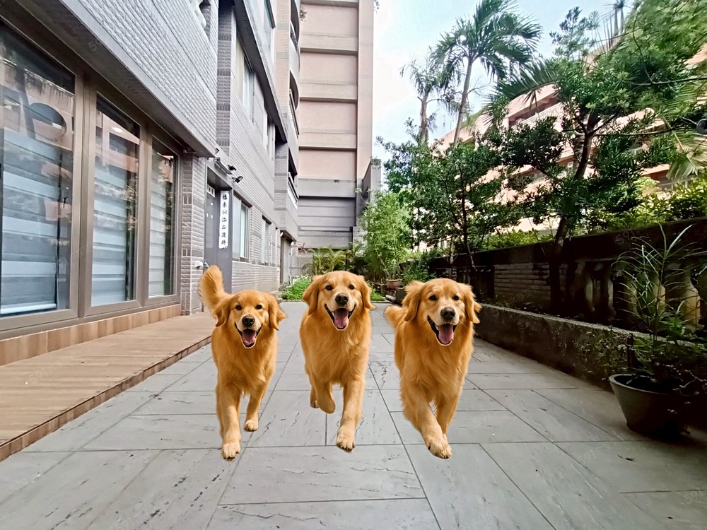 房屋圖片