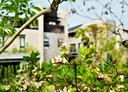 北屯區-近山路4房4廳，135.7坪