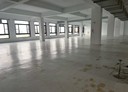 中壢區-中園路廠房，150.4坪