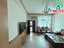 楓林街313巷專簽。☆║大樹..