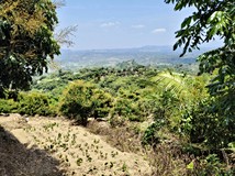 菁埔寮段南化7.8分休閒農地
