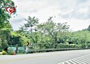三峽區-土地，187.3坪