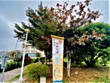 環境圖(7)