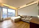 東區-明湖路1房0廳，24.3坪