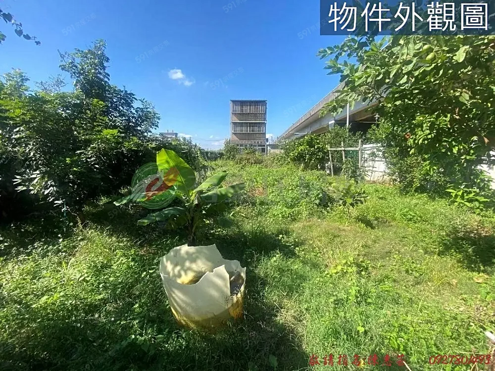 照片