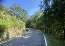 關西鎮-土地，198.7坪