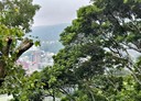 三義鄉-土地，1437.4坪