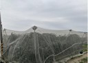岡山區-土地，893坪