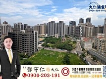 永裕路大仁滴家#稀有桃園青..