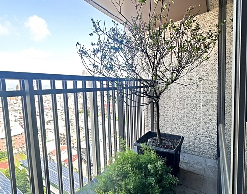 國聚之碩/高樓三房+平車~無限視野 - Image 13