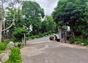 外埔區-土地，615.7坪