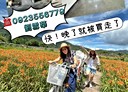大里區-光正路4房3廳，44.1坪