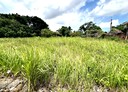 太保市-土地，246.8坪