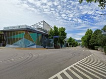 大溪慈湖停車場旁林地