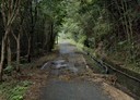 復興區-土地，2365.3坪