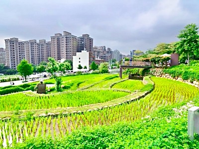 社區圖片