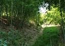 新埔鎮-土地，673.7坪