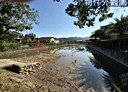 三星鄉-土地，780坪