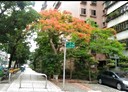 松山區-健康路2房2廳，38.7坪