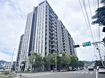 田新路專任-美麗華好柿2+1..