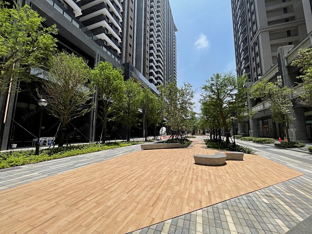 落羽松綠園道商店街實景照