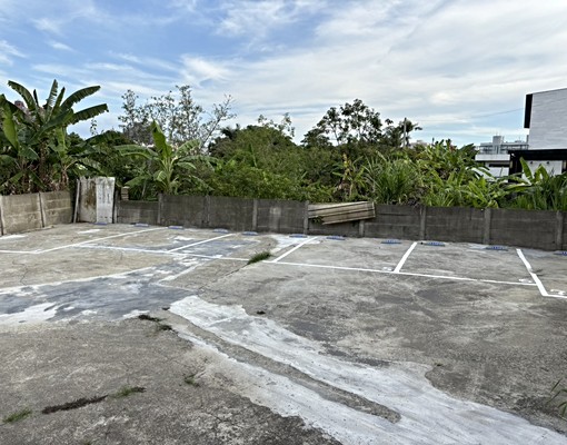 耐斯,嘉基,好市多,頂庄公園月租停車場 - Image 1
