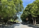 北區-健行路1房1廳，10.4坪
