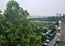 板橋區-南雅西路一段4房2廳，45.5坪