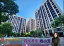 新店區-央北二路1房1廳，25.1坪