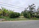 岡山區-土地，338.8坪
