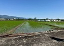 三星鄉-土地，999.3坪