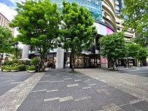 內湖路三段59巷內湖捷運低總..