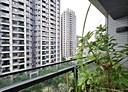 竹北市-嘉政五街4房2廳，91.3坪