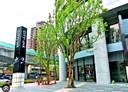 內湖區-成功路四段4房2廳，55.9坪
