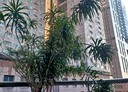中和區-景平路4房2廳，83.4坪