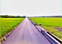 鳳林鎮-土地，1488.3坪