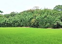 香山區-南隘路一段土地，1537.7坪
