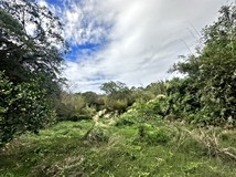 柯子湖段🌟竹東柯子湖段｜園..