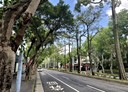 松山區-民生東路五段店面，38.7坪