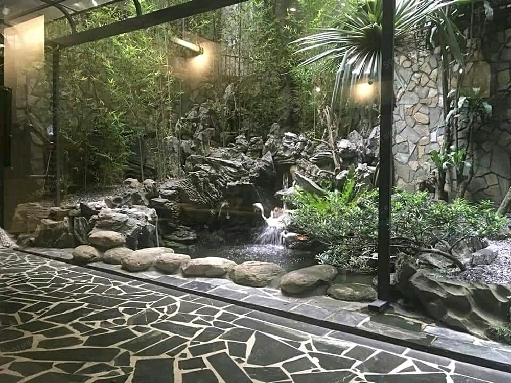 照片