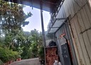 大里區-內新段土地，384坪