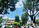 林口區-文化一路一段3房2廳，35.8坪