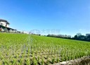 礁溪鄉-玉光一段土地，756.4坪