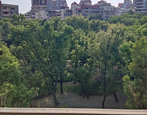天和公園榕榕園 - Image 3