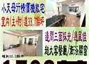 桃園區-大有路4房2廳，50.5坪