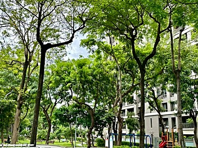 社區圖片
