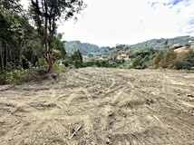 大榮段北屯大坑風景區開心農..